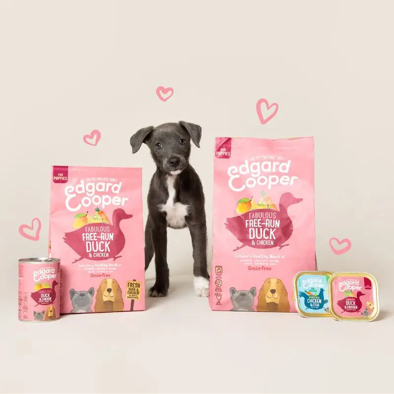 Edgard & Cooper Wet Puppy Food 6x400g Duck & Chicken