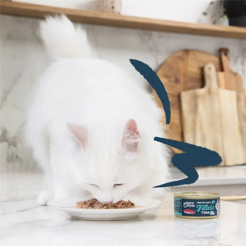 Edgard & Cooper Wet Cat Food 24x70g Tuna & Squid Fillets Cereal Free