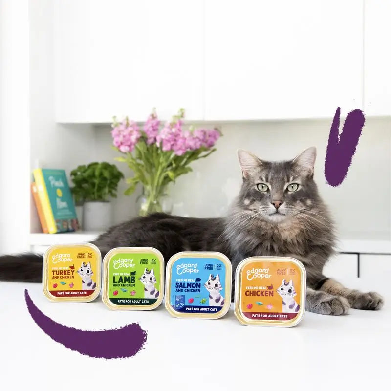 Edgard & Cooper Adult Wet Cat Food 16x85g Free Range Turkey