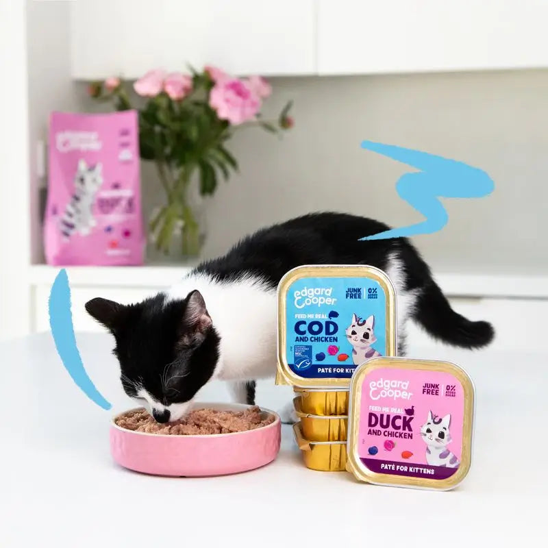 Edgard & Cooper Wet Cat Food Kitten 16x85g Free-Range Chicken