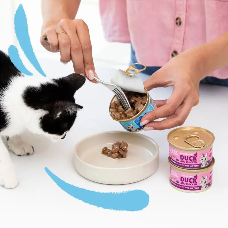 Edgard & Cooper Wet Cat Food 18x85g Codfish Chunks Msc