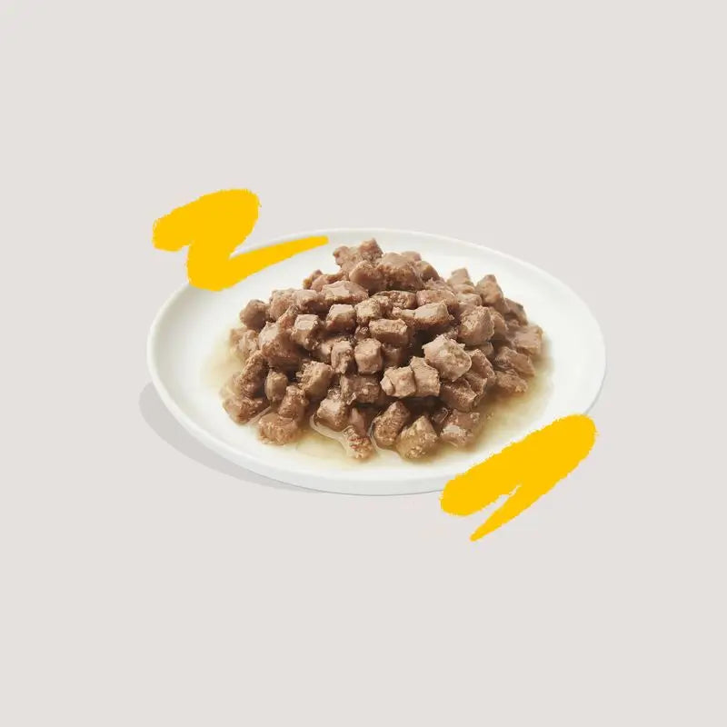 Edgard & Cooper Wet Cat Food 18x85g Turkey Bits