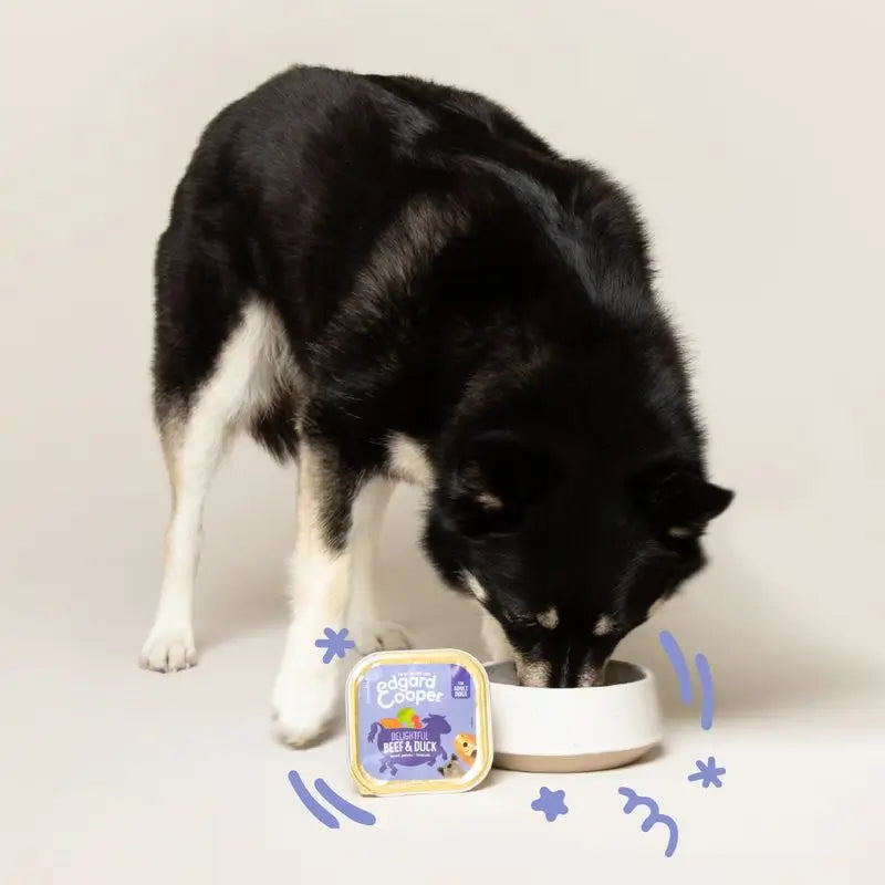 Edgard & Cooper Wet Dog Food 11x150g Beef & Duck