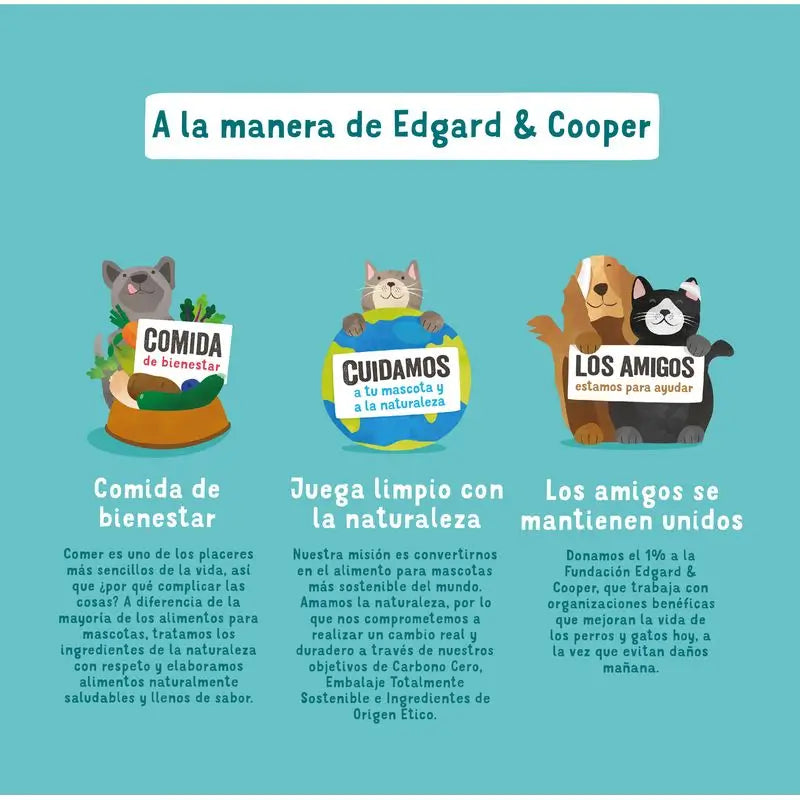 Edgard & Cooper Wet Dog Food 11x150g Salmon