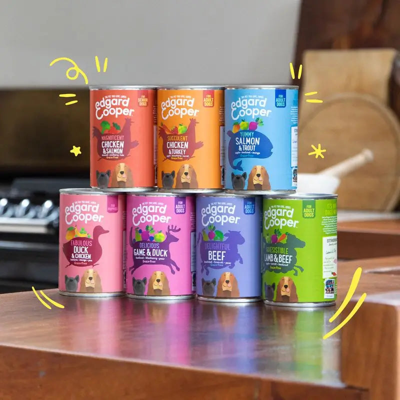 Edgard & Cooper Wet Dog Food 6x400g Chicken & Salmon