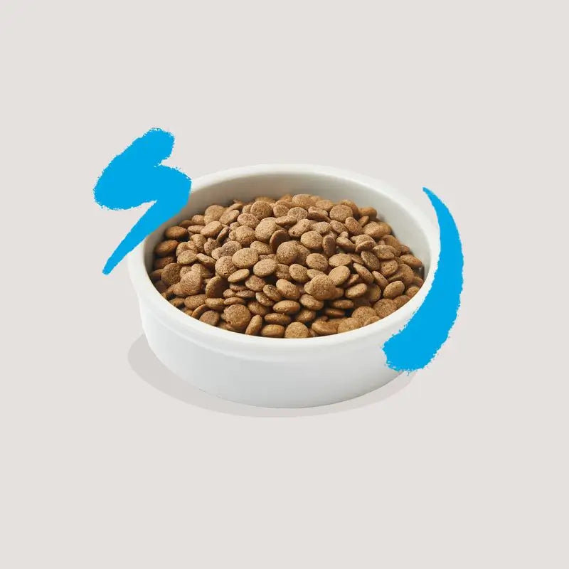 Edgard & Cooper Adult Cat Food 2kg Fresh Atlantic Salmon