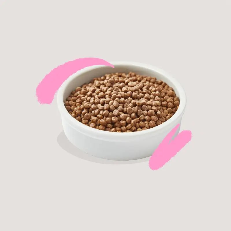 Edgard & Cooper Cat Food Kitten 2kg Duck Fresh From The Yard