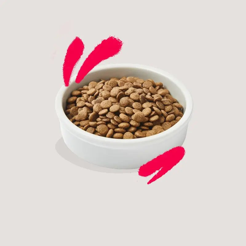 Edgard & Cooper Senior Cat Food 2kg Chicken Fresh From The Farmyard