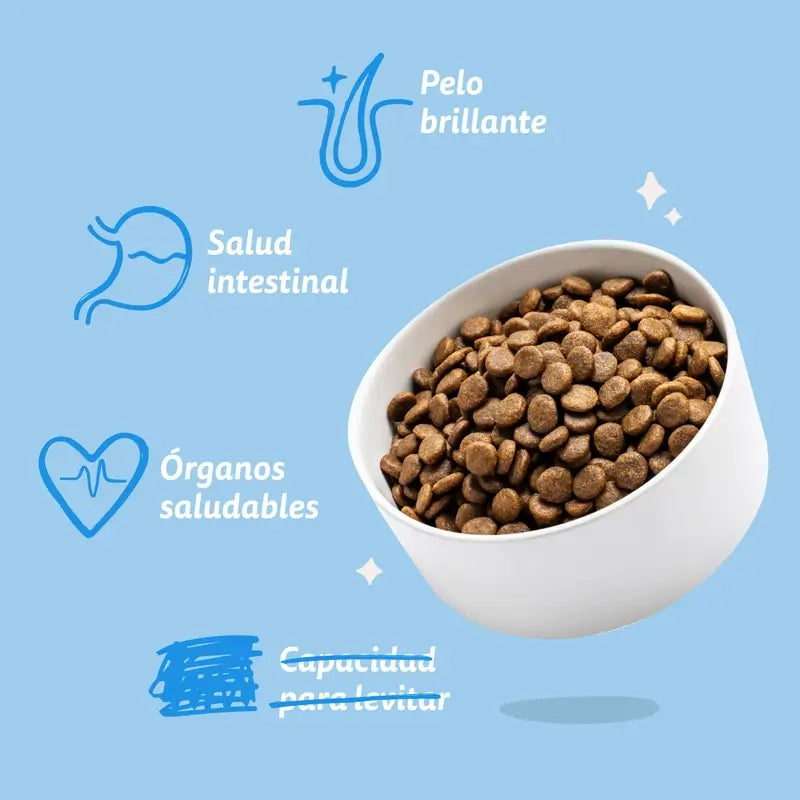 Edgard & Cooper Mini Adult Dog Food With Fresh Salmon , 3 kg