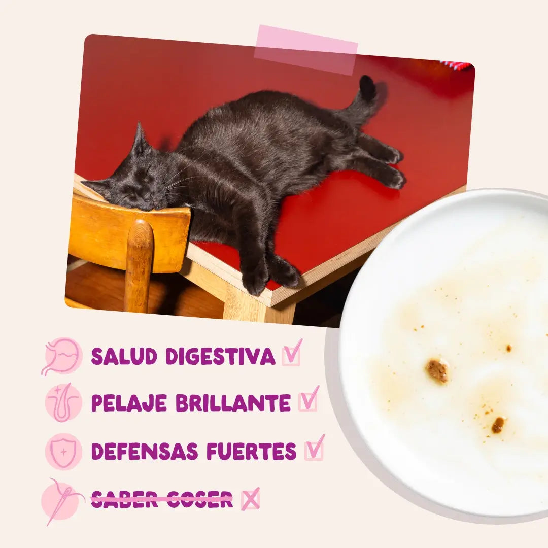 Edgard & Cooper Duck & Chicken in Gravy for Kittens, 12 x 85 g