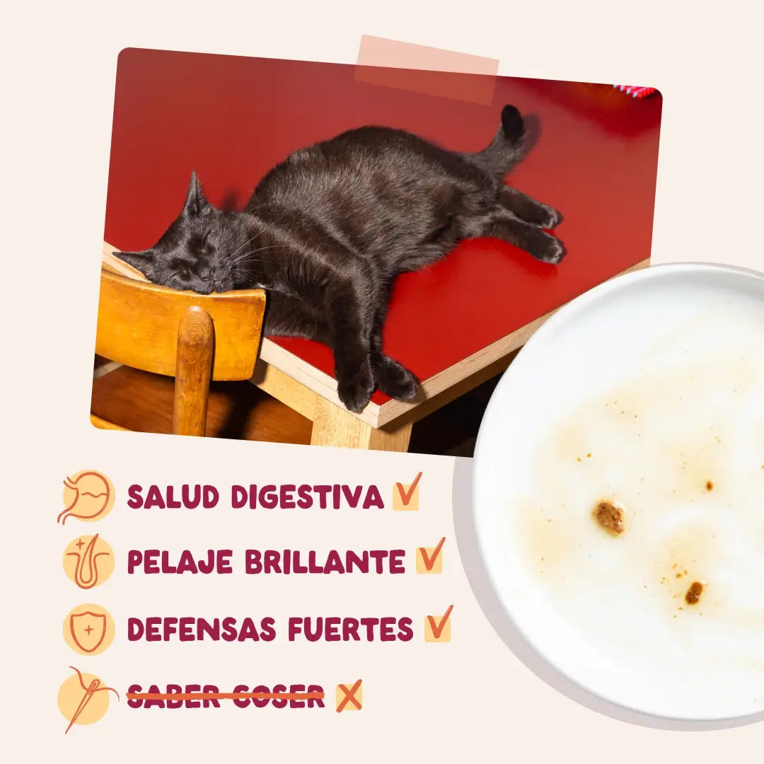 Edgard & Cooper Chicken in Gravy for Adult Dogs, 12 x 85 g