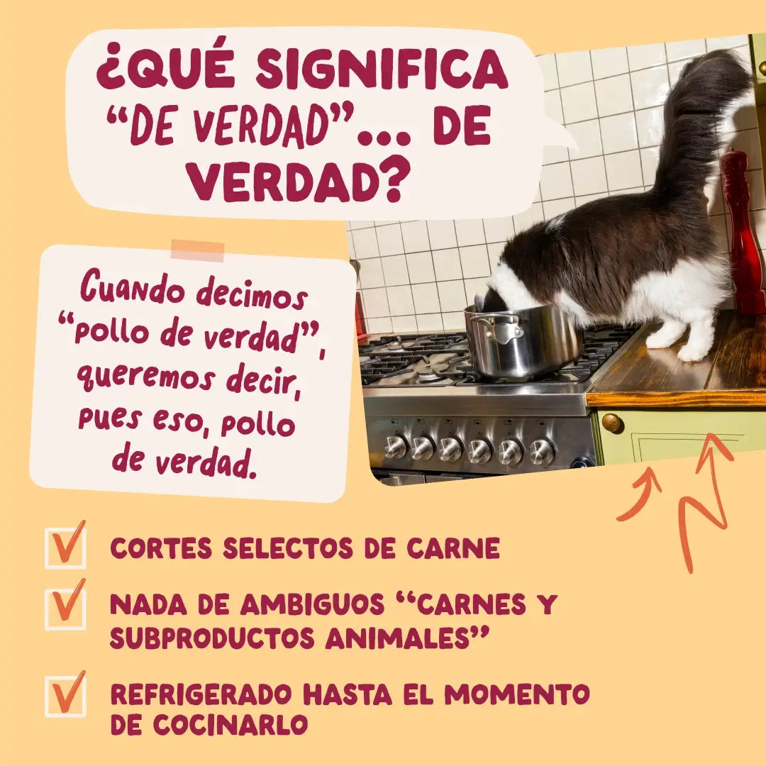 Edgard & Cooper Chicken in Gravy for Adult Dogs, 12 x 85 g