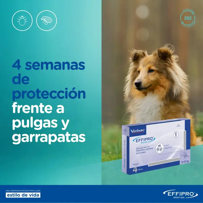 Effipro 134 Mg Spot-On Medium Dogs 10-20kg, 4 Pipettes