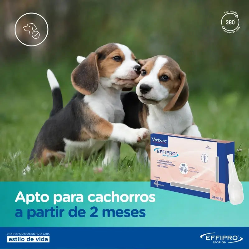 Effipro 134 Mg Spot-On Medium Dogs 10-20kg, 4 Pipettes