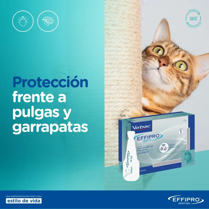 Effipro 50 Mg Spot-On Cats, 24 Pipettes