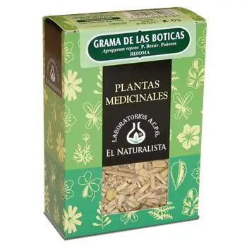 El Naturalista Grama, Single Plant, 60 G