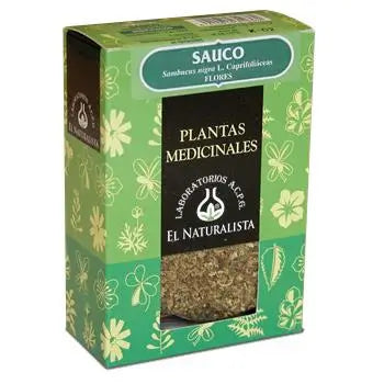 El Naturalista Sauco Flower, Single Plant, 40 G