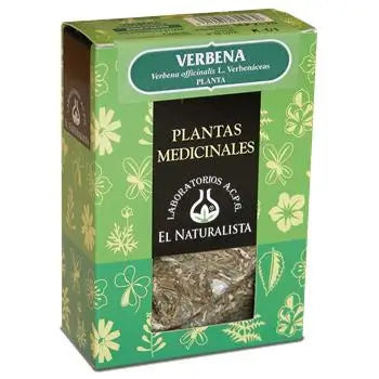 El Naturalista Verbena, Single Plant, 50 G