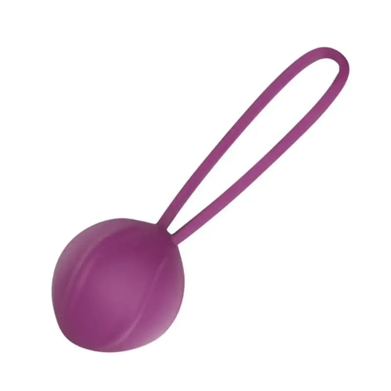 Engily Ross Kegel Ball Silicone Purple