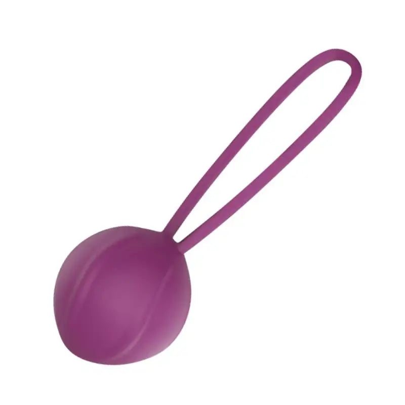 Engily Ross Kegel Ball Silicone Purple