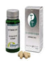 Erlingen Defined 802 - Jin Gui Shen Qi Wan,