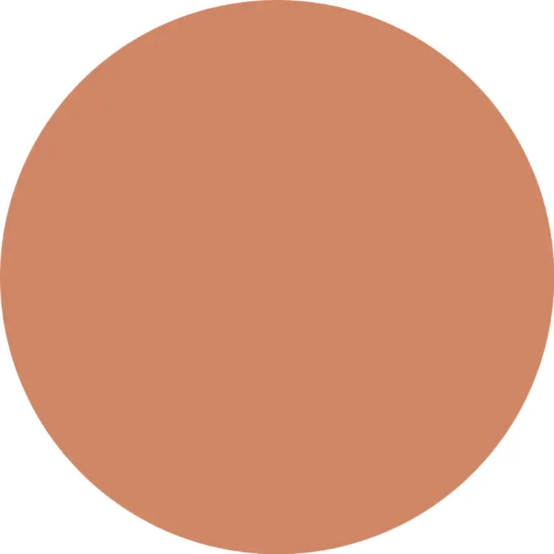 CC Coverstick Concealer Stick 40, 6 g