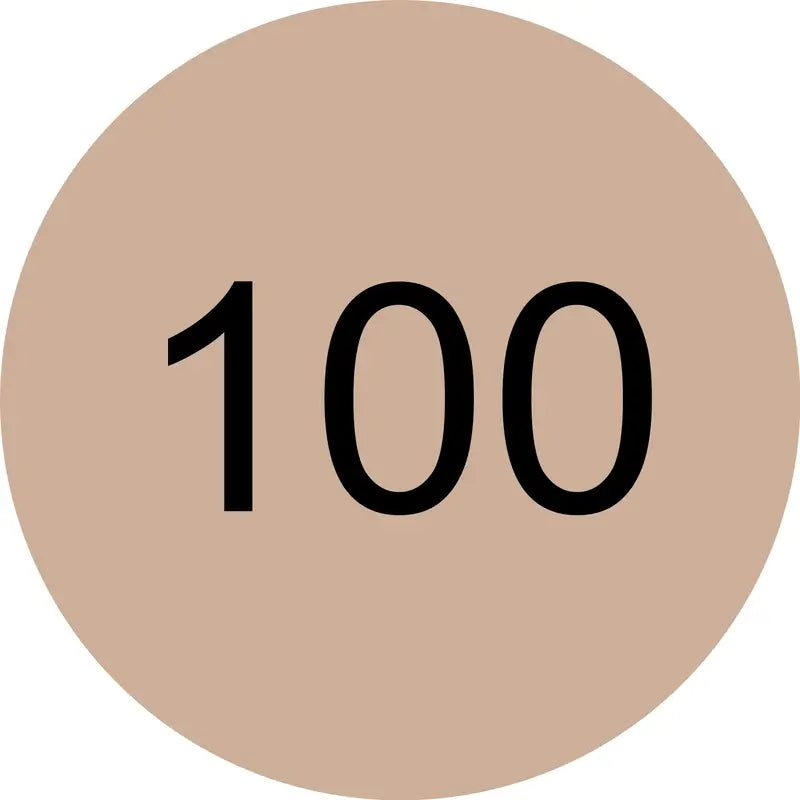 Essence Concealer Camouflage+ Matt 100 , 8 ml