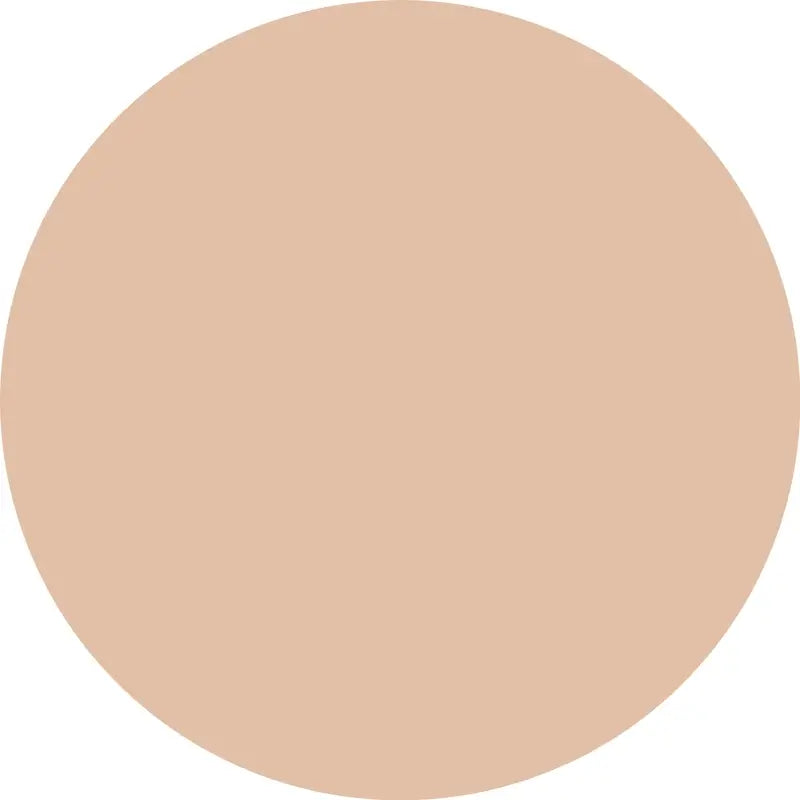 Essence Silky Blur 70 Long Lasting Moisturising Concealer, 10 ml