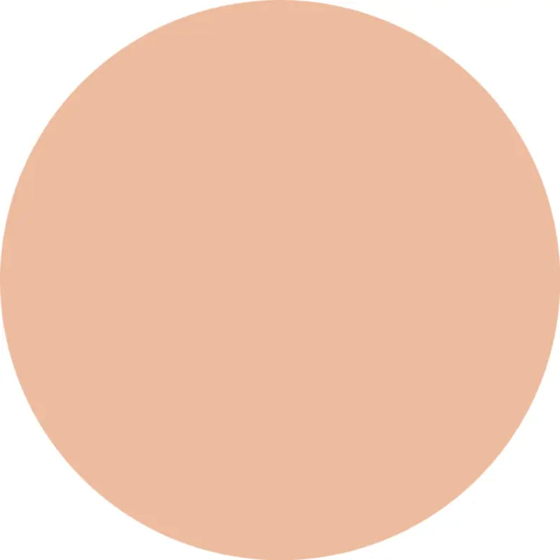 Essence Silky Cushion Foundation 100, 12 g