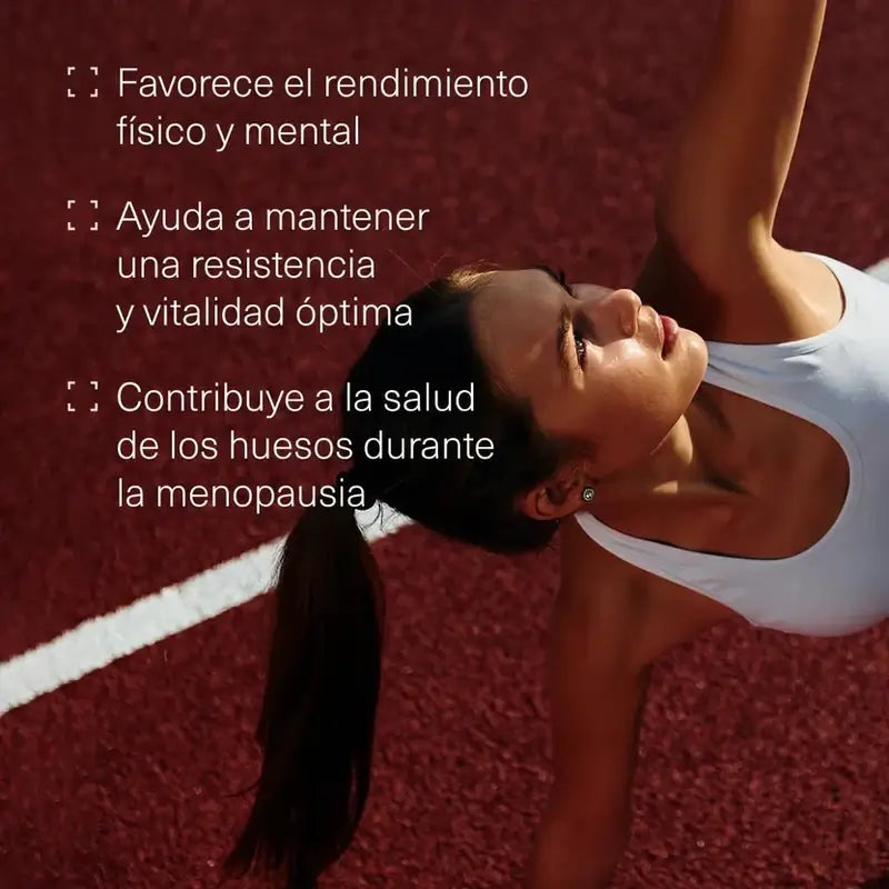 Aldous Maca Extract, 400 tablets