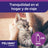 Ceva Feliway Anti-Stress Spray 60 ml