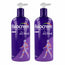 Fisiocrem Gel Active 600 ml, pack of 2