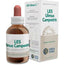 Forza Vitale Les Ulmus Campestris Elm 50Ml.