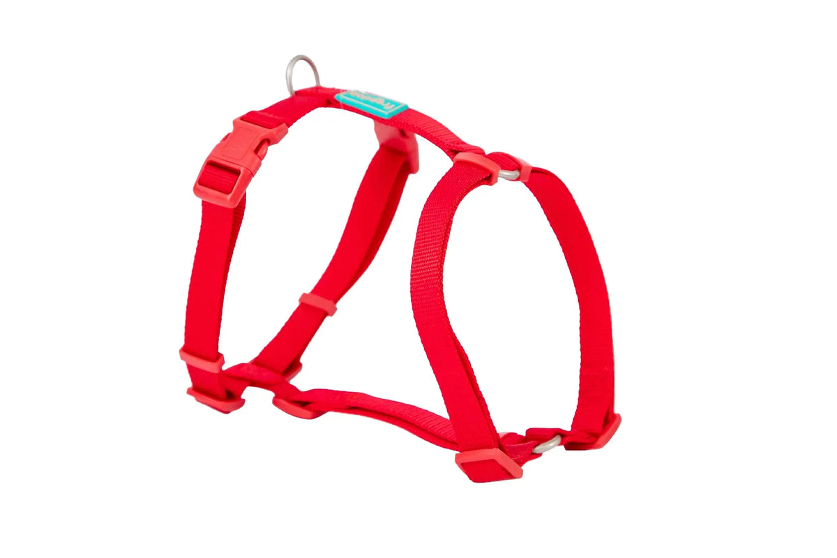 Freedog Basic Red Nylon Harness, 20 mm, 51/70 cm