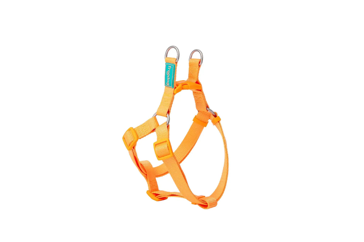 Freedog Basic Type A Black Nylon Harness, 10 mm, 20/36 cm