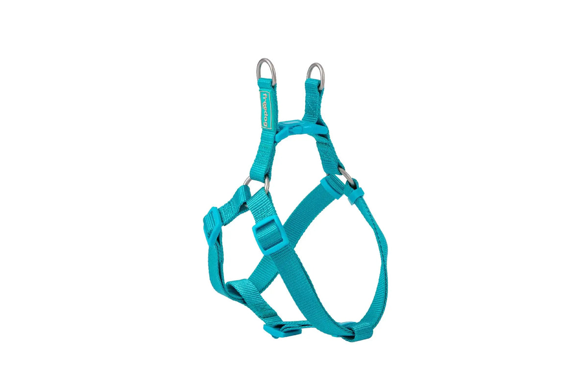 Freedog Basic Type A Nylon Harness, Turquoise, 15 mm, 30/50 cm