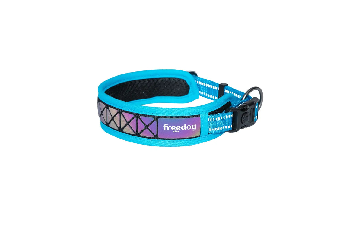 Freedog Boreal Blue Capri Collar, 20 mm, 43/52 cm