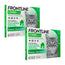 Frontline Combo Cats and Ferrets Spot On, Pack 2 x 6 Pipettes x 0,5 ml