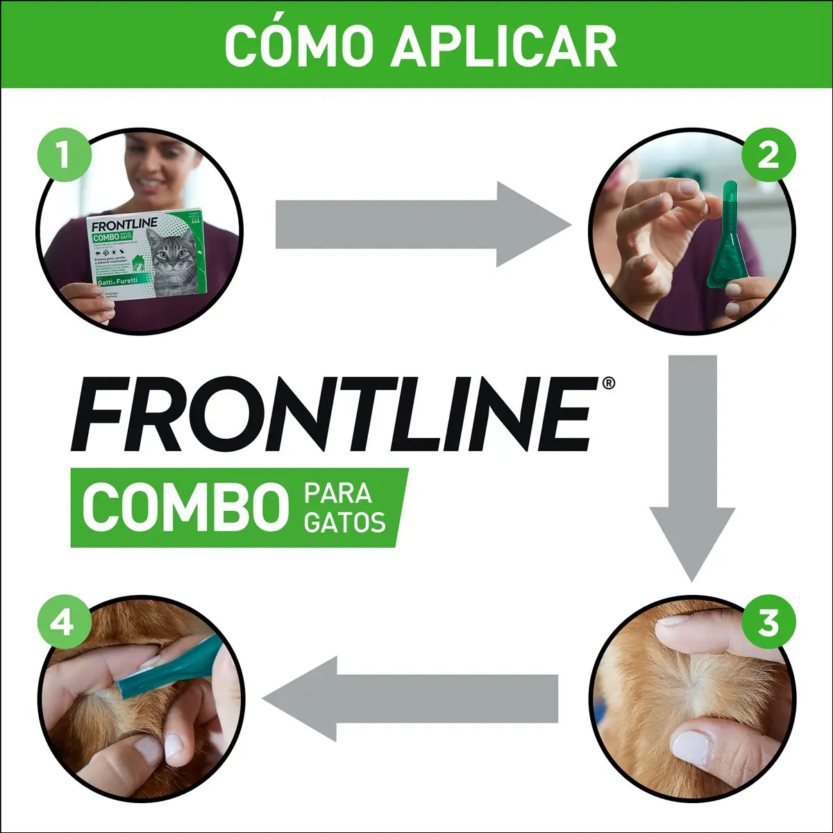 Frontline Combo Cats & Ferrets Spot On, 6 Pipettes x 0,5 ml