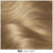 Garnier Olia Ammonia Free Permanent Colouring For A Pleasant Smell With Natural Floral Oils - Light Blonde 8.0