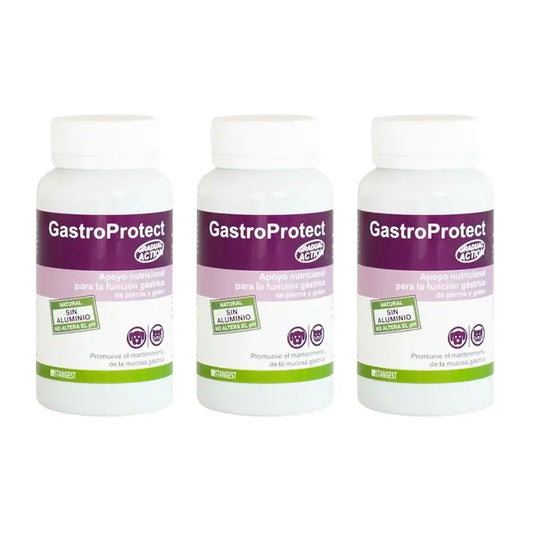 Gastroprotect Stangest, 3X30 Tablets