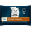 Gourmet Perle Delights In Sauce Chicken Beef 12X4X85Gr