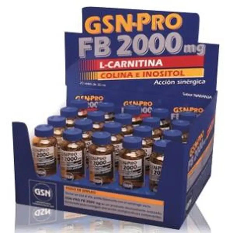 Gsn Gsn-Pro Fb-2000Mg 20Vials (Carnitine) 30 Ml