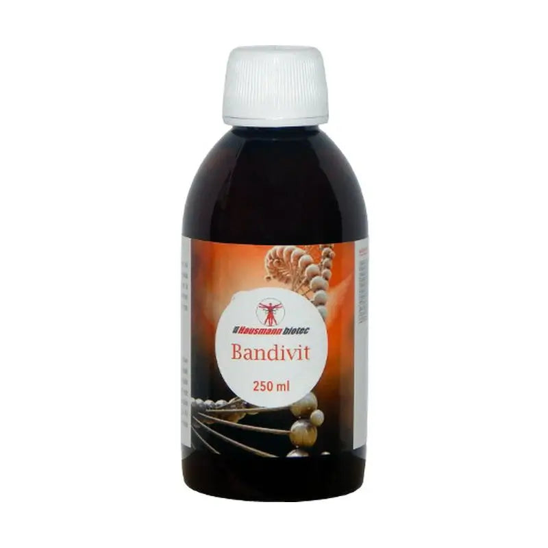 Hausmann B Bandivit Syrup , 250 ml