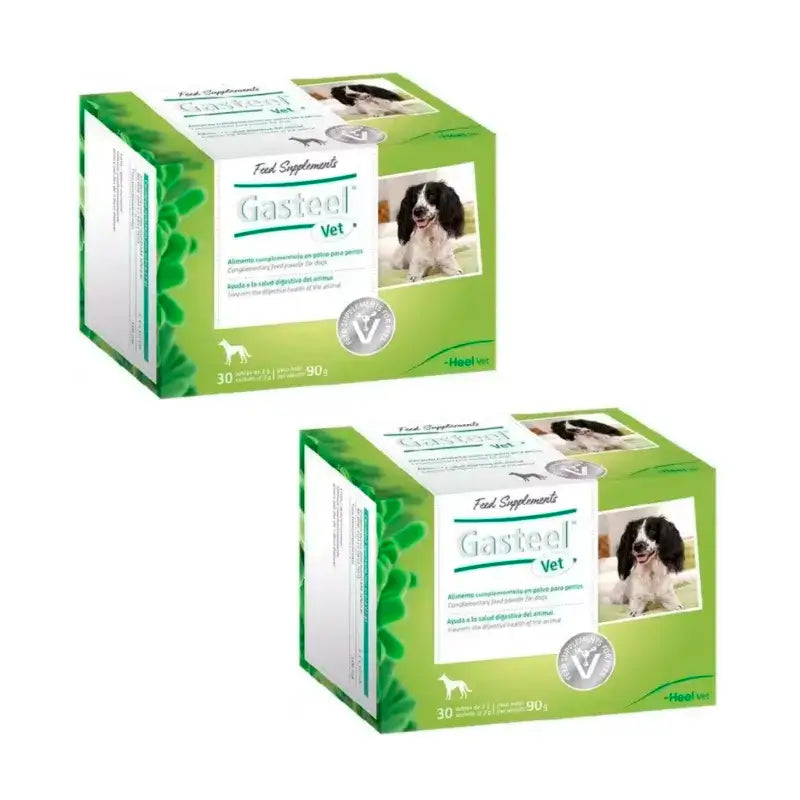 Heel Gasteel Vet, Pack 2 x 30 sachets