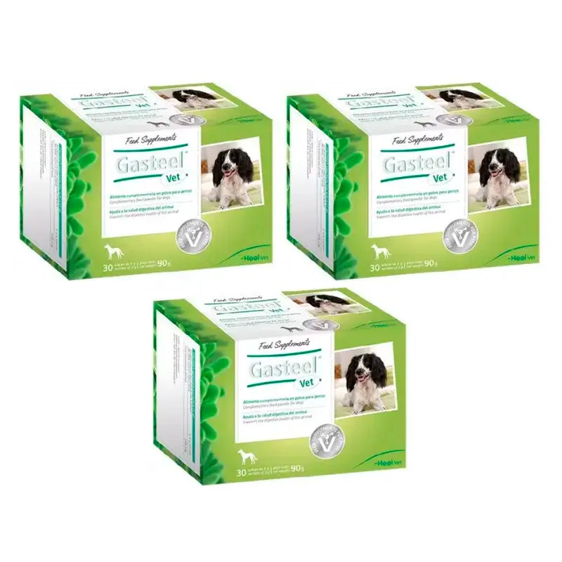 Heel Gasteel Vet, Pack 3 x 30 sachets