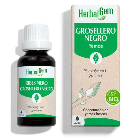 Herbalgem Black Currant, 30ml