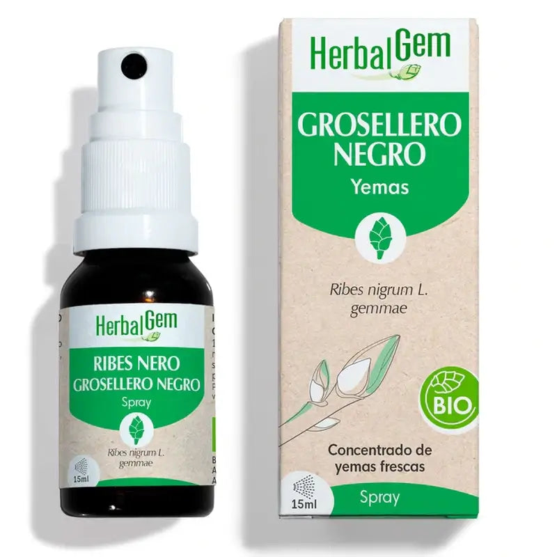 Herbalgem Black Currant, 15ml
