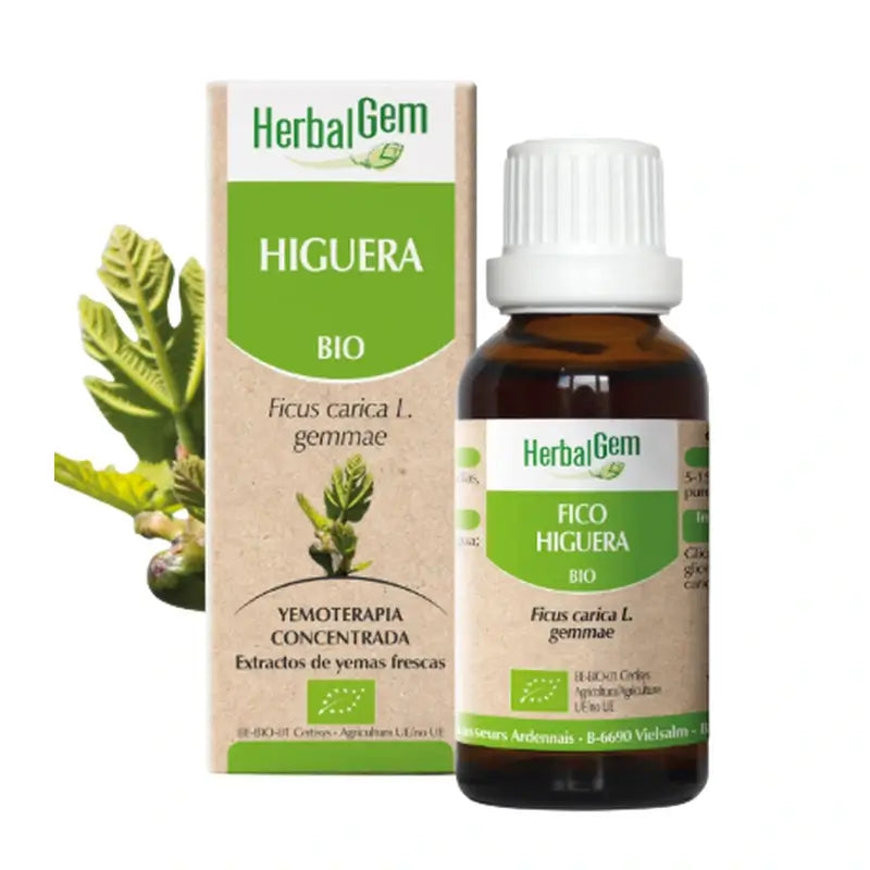 Herbalgem Fig Tree Drops, 15 ml