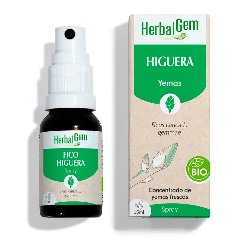 Herbalgem Fig Tree Spray Bio, 15ml